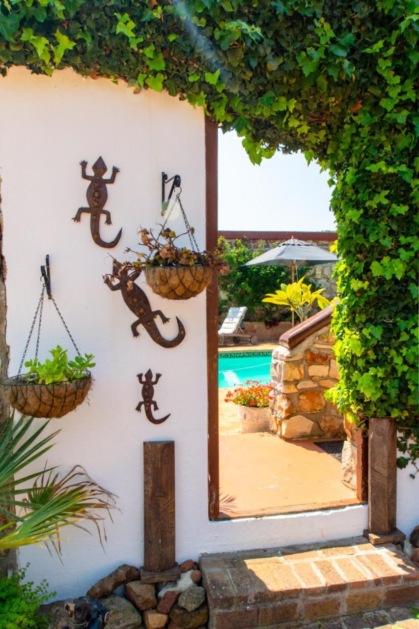 Makapa Lodge Cape Town Dış mekan fotoğraf