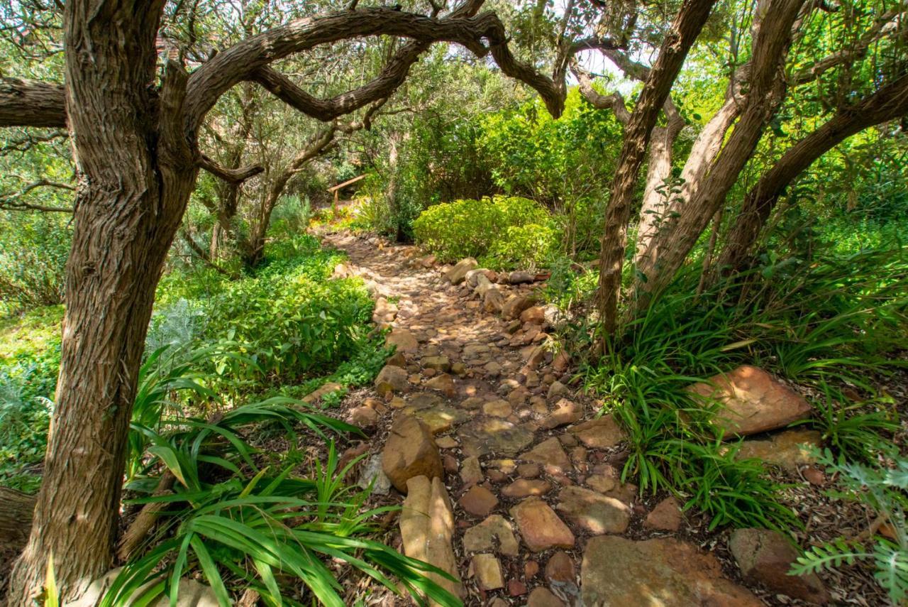 Makapa Lodge Cape Town Dış mekan fotoğraf