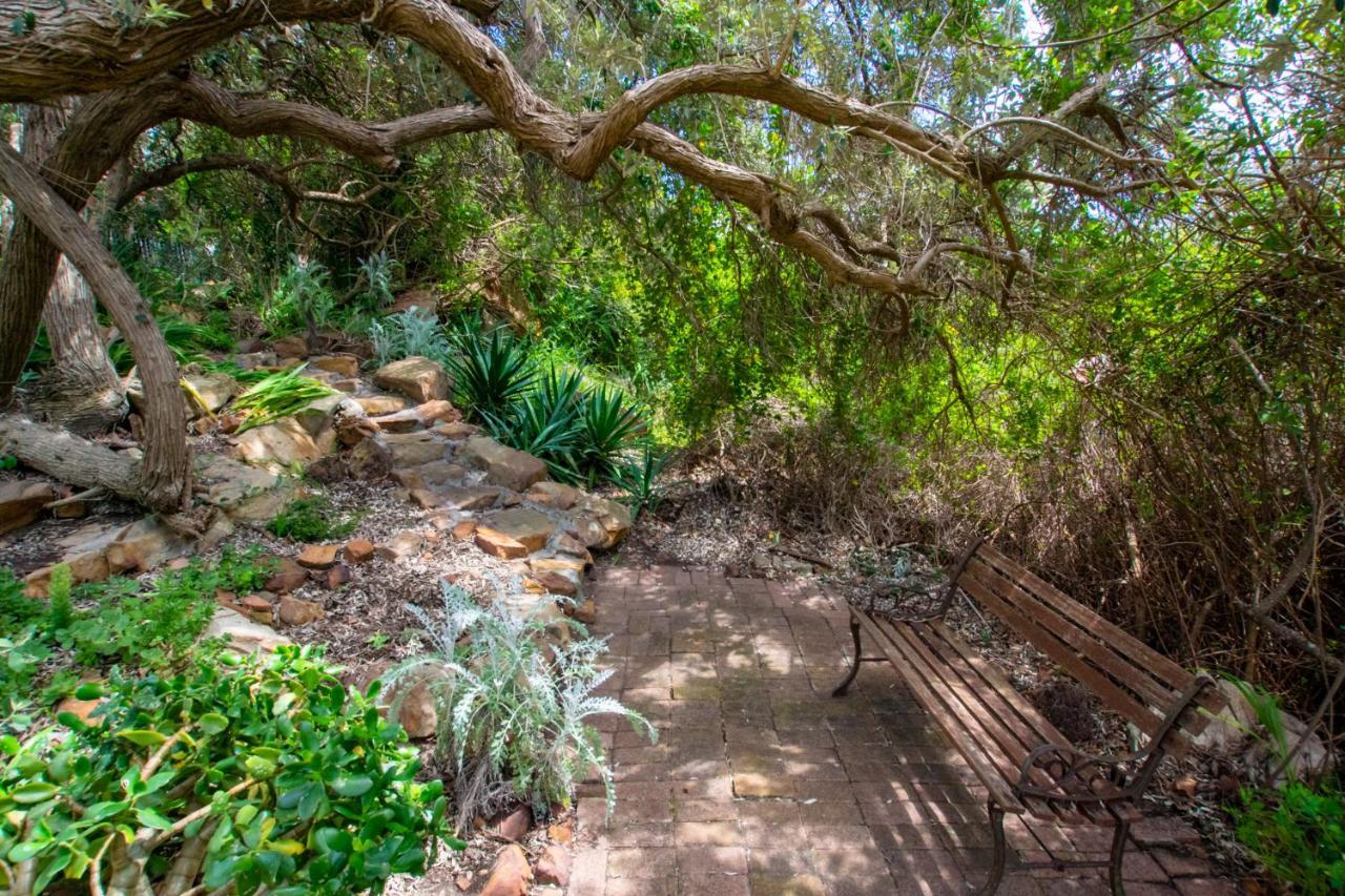 Makapa Lodge Cape Town Dış mekan fotoğraf