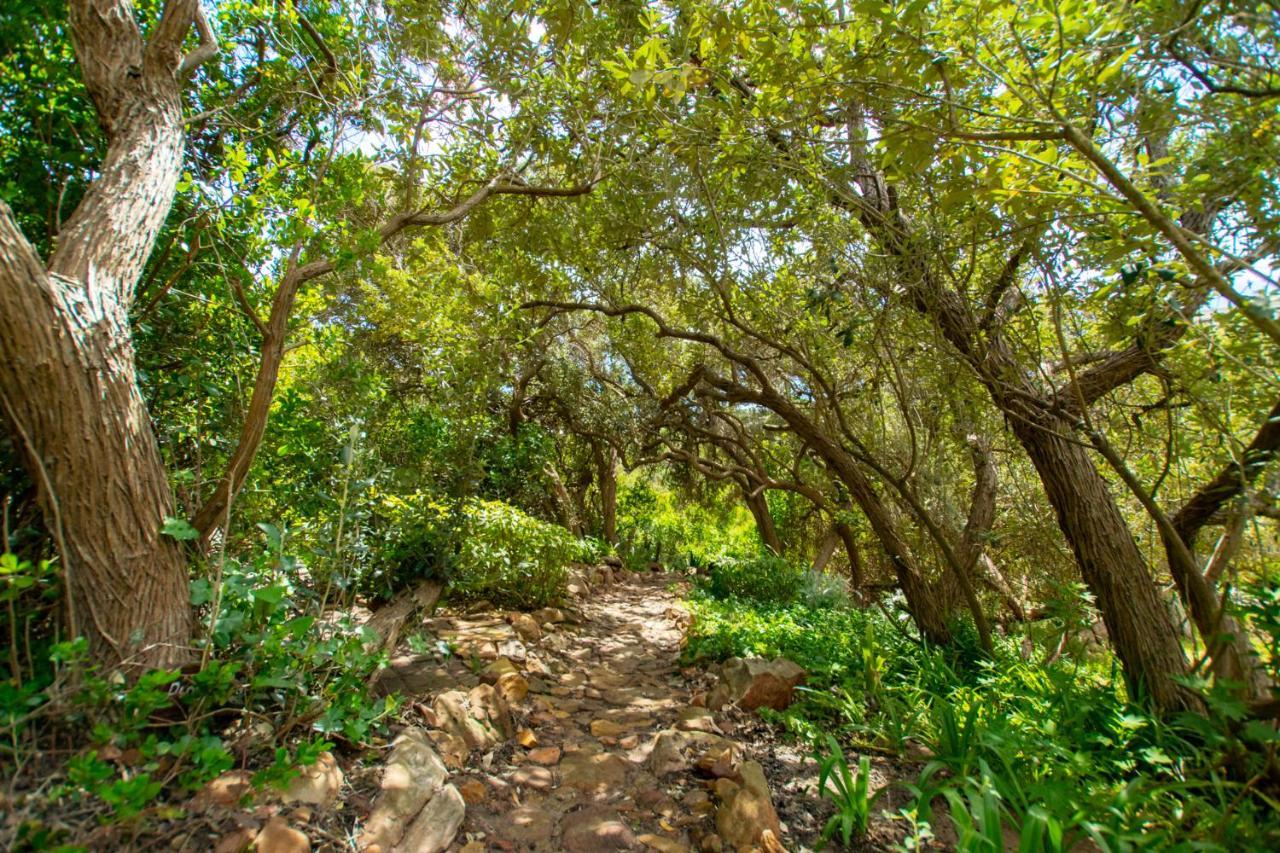 Makapa Lodge Cape Town Dış mekan fotoğraf