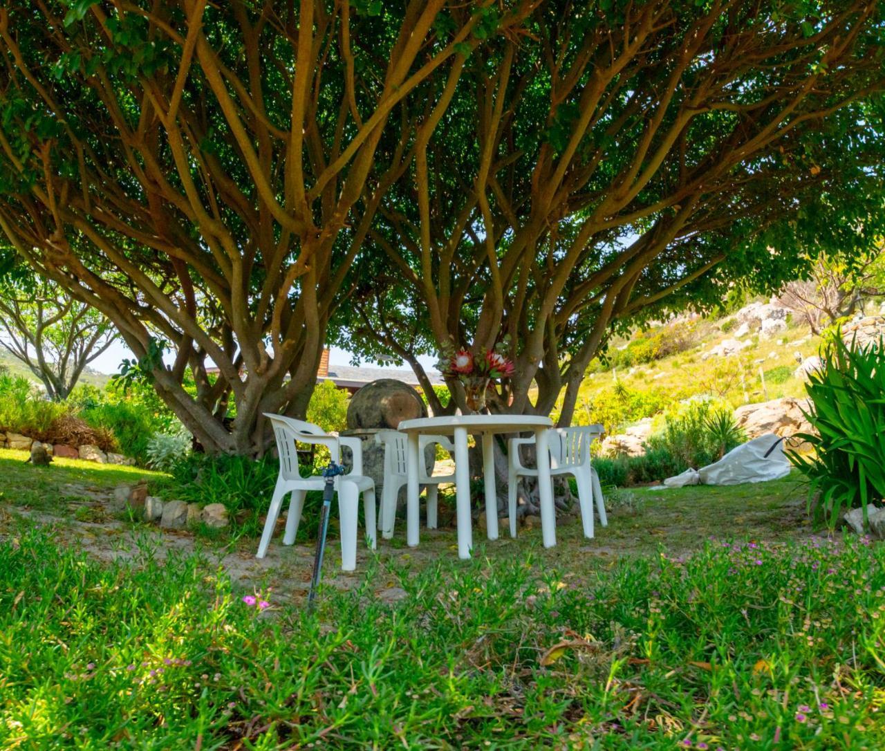 Makapa Lodge Cape Town Dış mekan fotoğraf