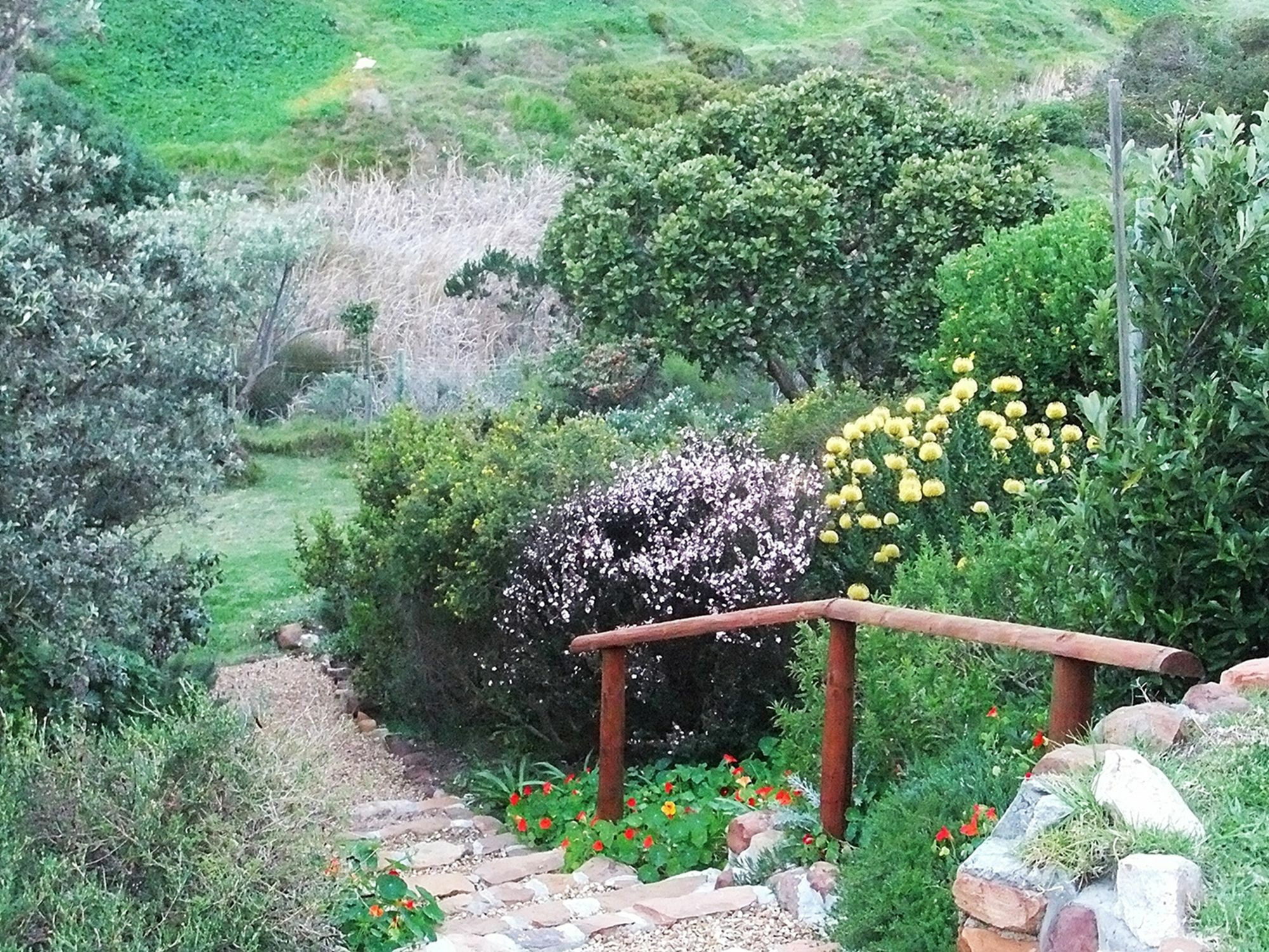 Makapa Lodge Cape Town Dış mekan fotoğraf