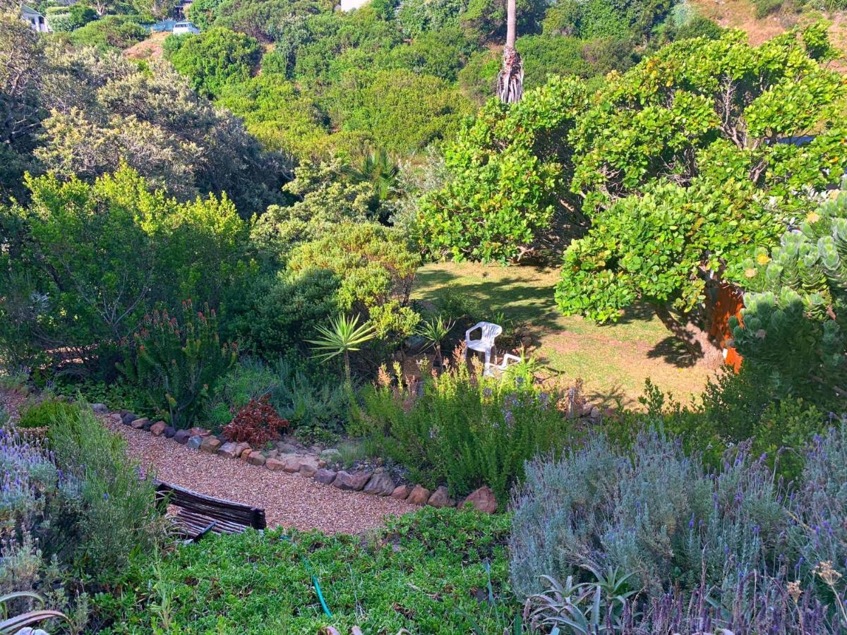 Makapa Lodge Cape Town Dış mekan fotoğraf